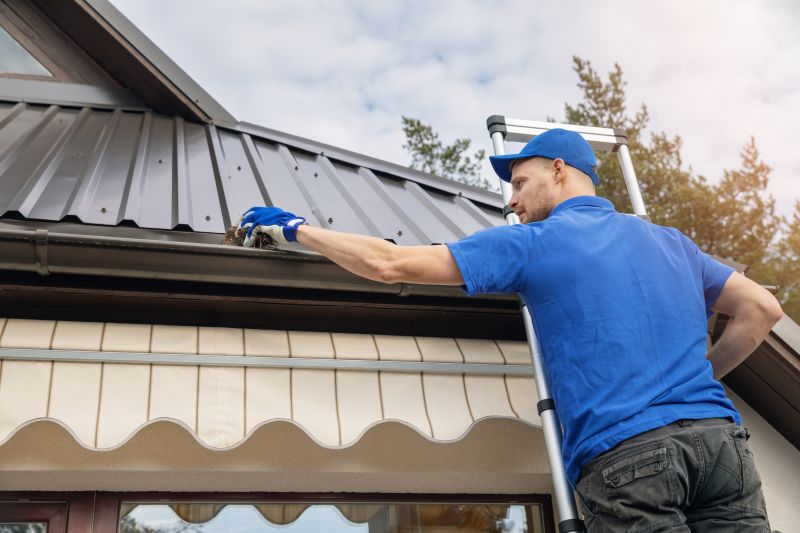 Gutter Cleaning and Cover Specialists